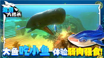 戰(zhàn)國(guó)無(wú)雙4-2全關(guān)卡挑戰(zhàn)分析及最佳通關(guān)策略分享