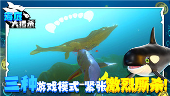 上古卷軸5煉金術(shù)代碼如何提升角色能力，助你輕松掌控游戲世界的秘藥配方