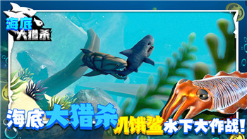 雙人成行太空之旅小游戲解鎖新關(guān)卡與玩法揭秘，帶你深入探索宇宙奇妙冒險