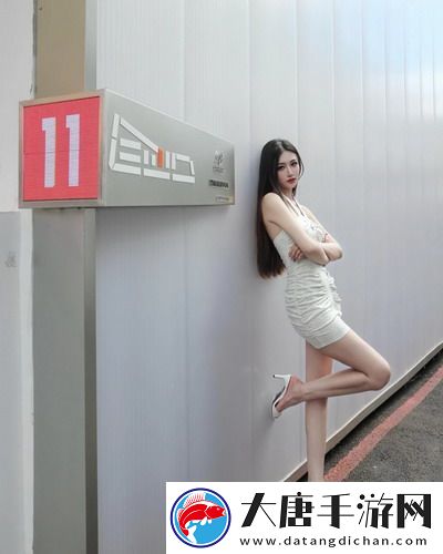 茄子app官方下載：一款讓你輕松探索新世界的神奇工具-快來(lái)試試吧！